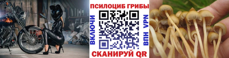 Галлюциногенные грибы Magic Shrooms Сысерть
